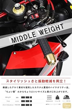 【専用】 USA在庫あり】 bbk1718 BBK 96年-04年 Mustang 4.6 GT Cold エア